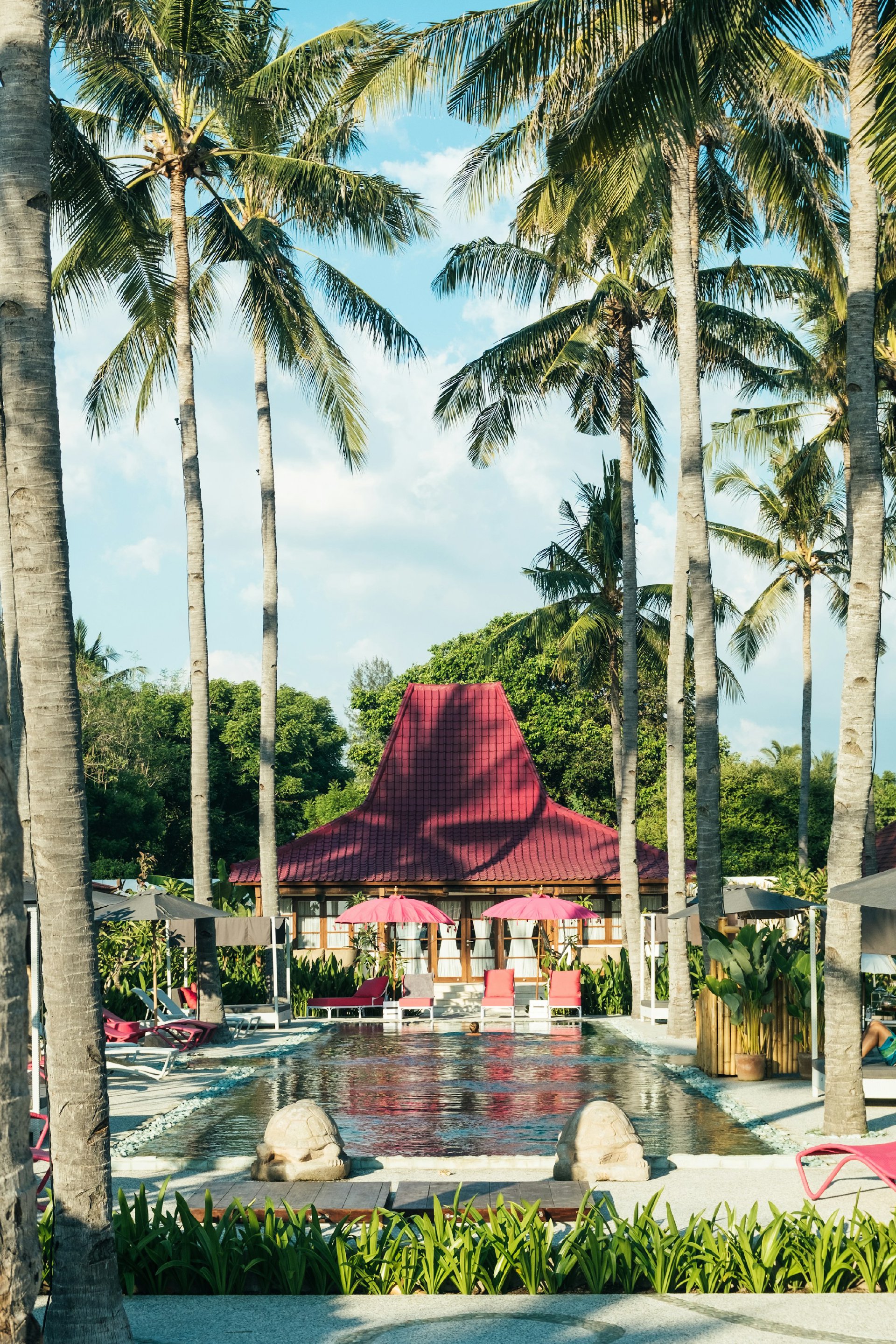 A palm-shaded resort pool, pink umbrellas at rest